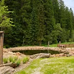Lejlighedshotel Jezerni & Wellness Železná Ruda