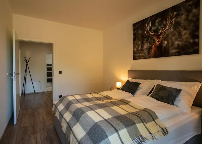 Jezerní Rezidence 3* Železná Ruda