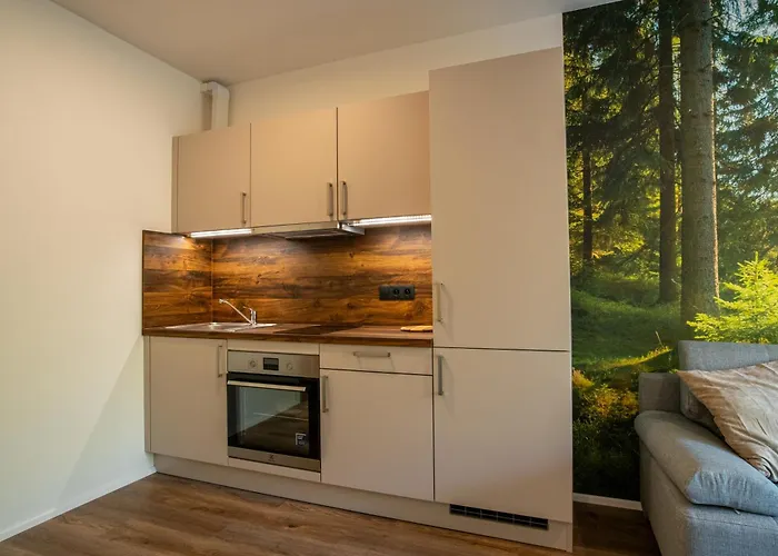 Jezerní Rezidence Železná Ruda